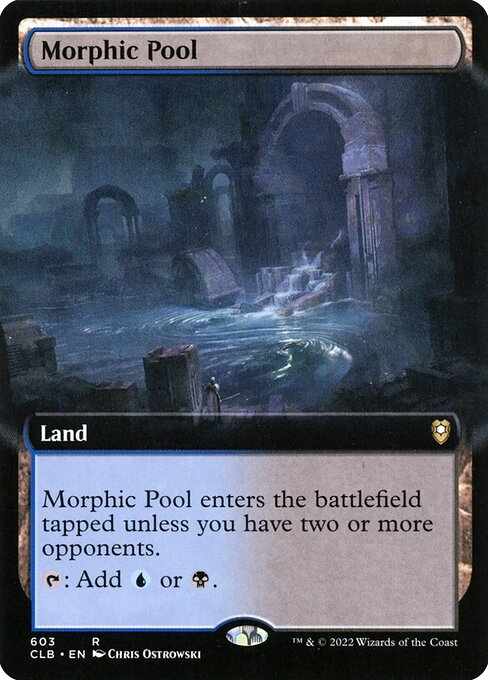 Card image for Morphic Pool