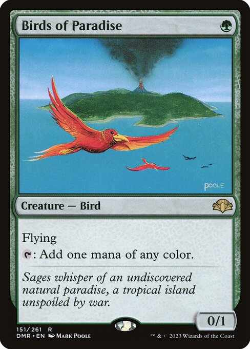 Card image for Birds of Paradise