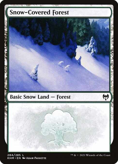 Card image for Snow-Covered Forest