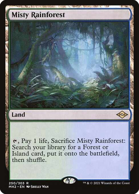 Card image for Misty Rainforest