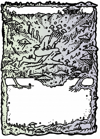 Alter Image