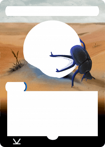 Alter Image