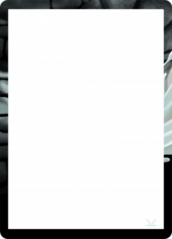 Alter Image