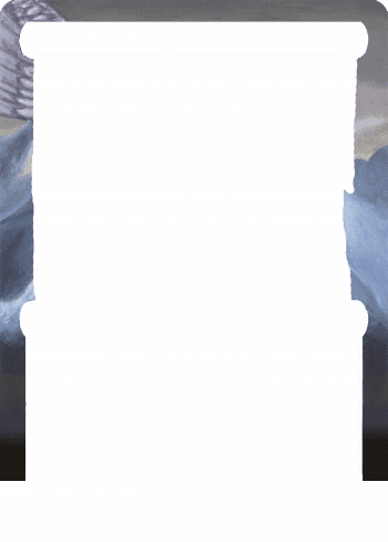 Alter Image