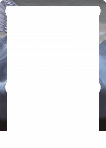 Alter Image