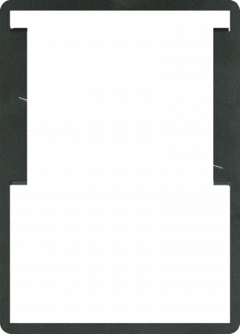 Alter Image
