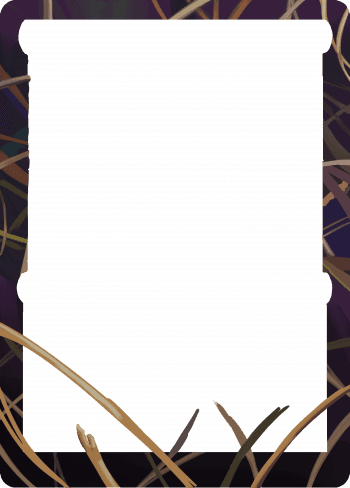 Alter Image