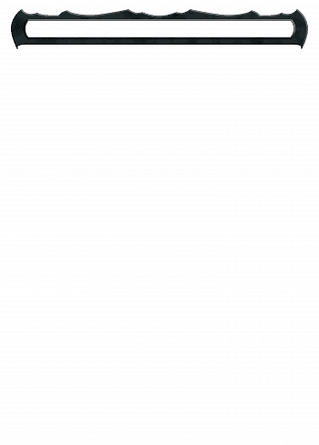 Alter Image