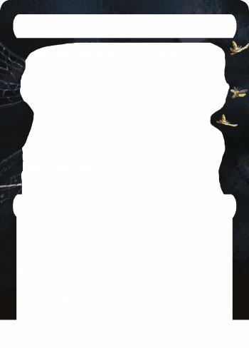 Alter Image