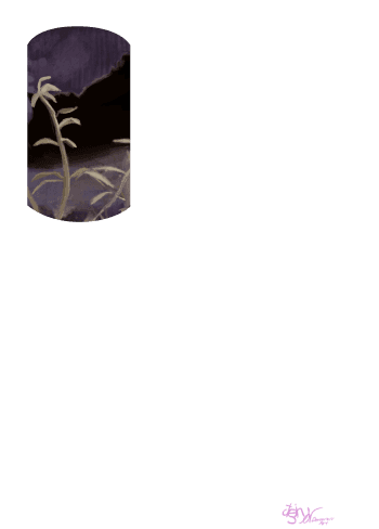 Alter Image