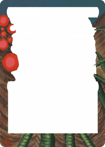 Alter Image