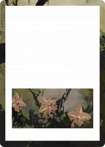 Alter Image