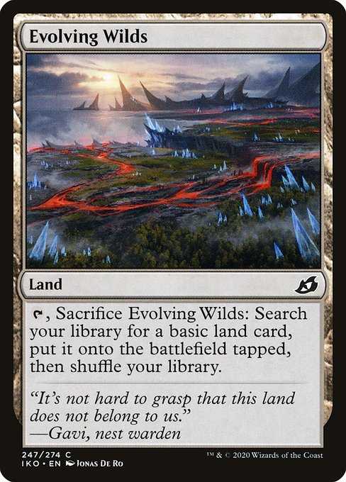 Card image for Evolving Wilds